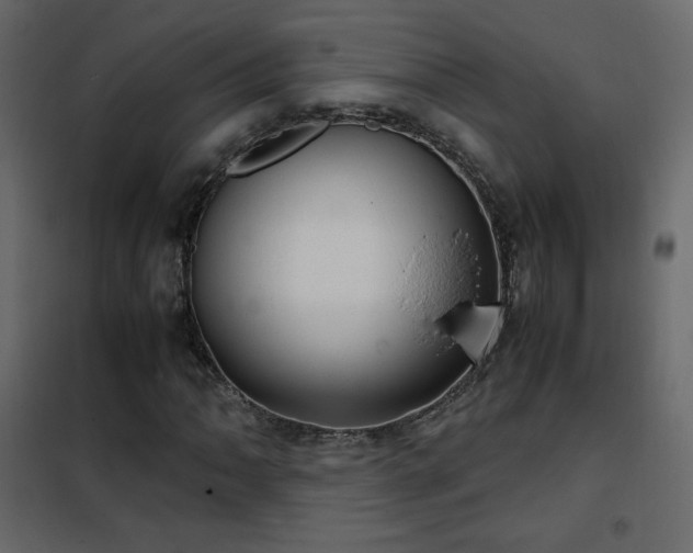 X0000102481062200808081300