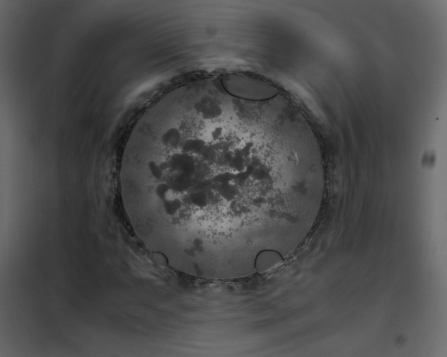 X0000102481063200808081300