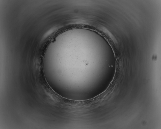 X0000102481064200808081300