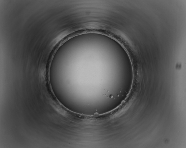 X0000102481065200808081300