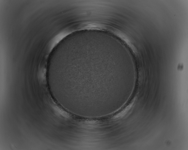 X0000102481066200808081300