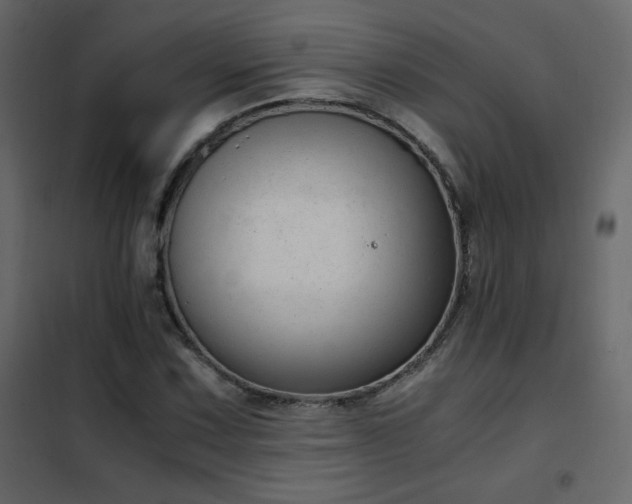 X0000102481067200808081300