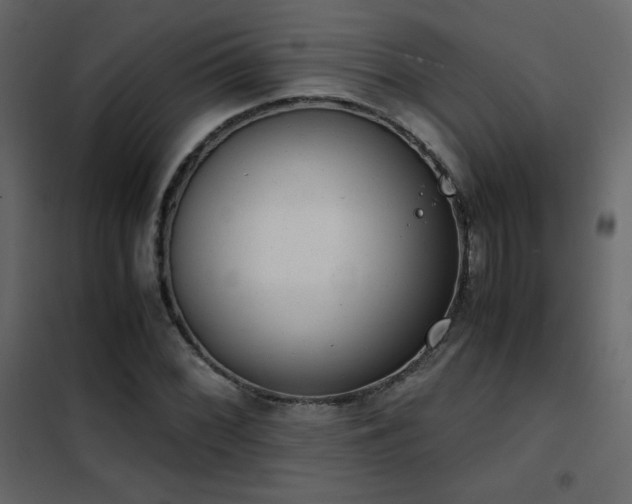 X0000102481068200808081300