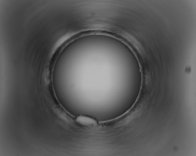 X0000102481069200808081300