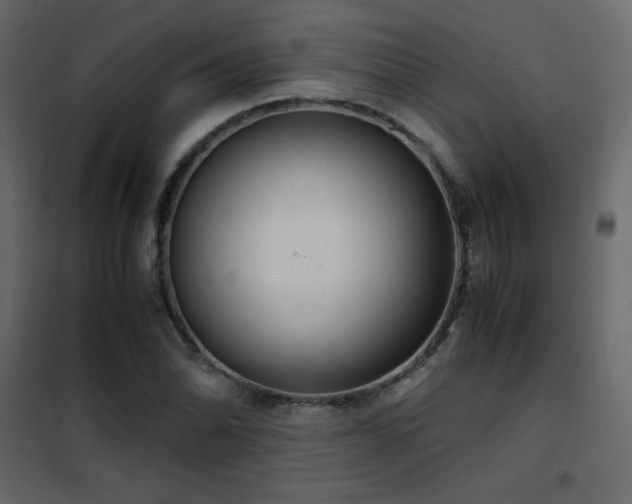 X0000102481070200808081300