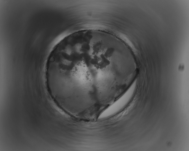 X0000102481071200808081300