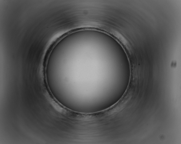 X0000102481072200808081300