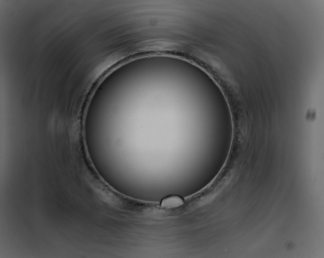 X0000102481073200808081300