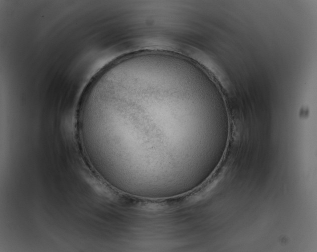 X0000102481074200808081300