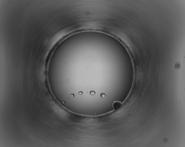 X0000102481075200808081300