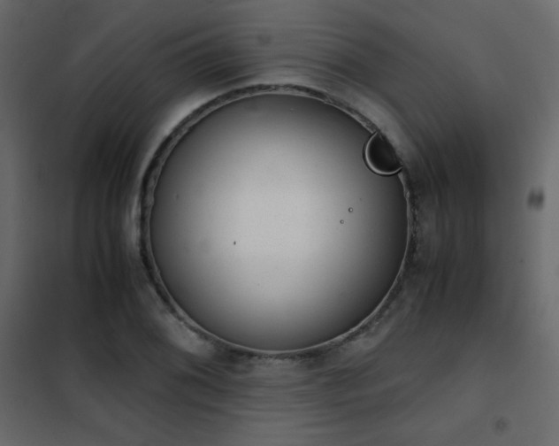 X0000102481076200808081259
