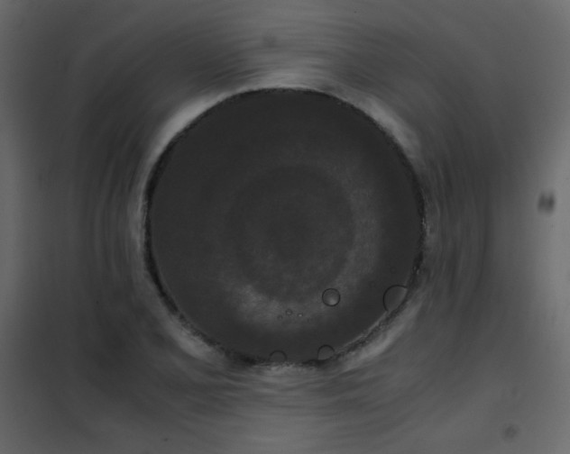 X0000102481077200808081259