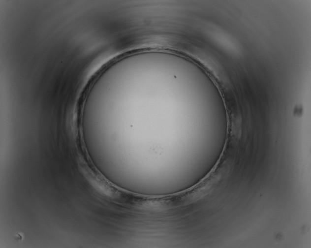 X0000102481078200808081259