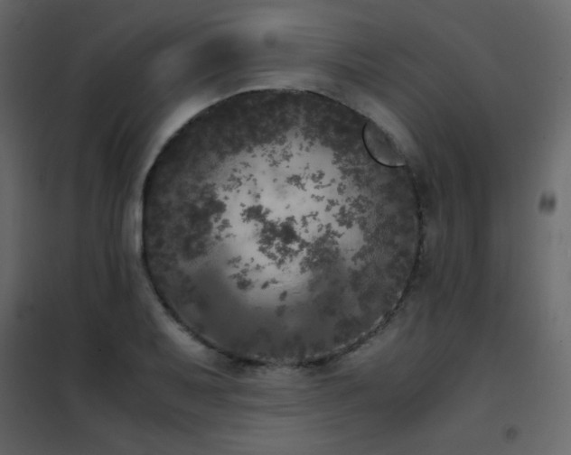 X0000102481079200808081259
