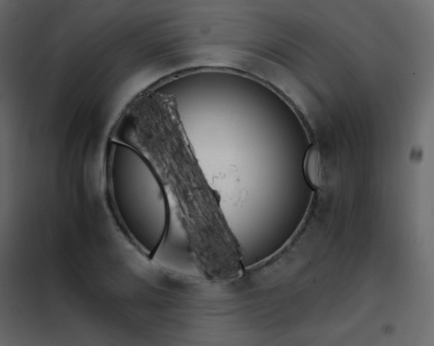 X0000102481080200808081259
