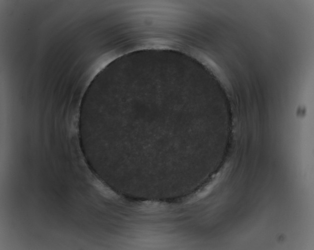 X0000102481081200808081259