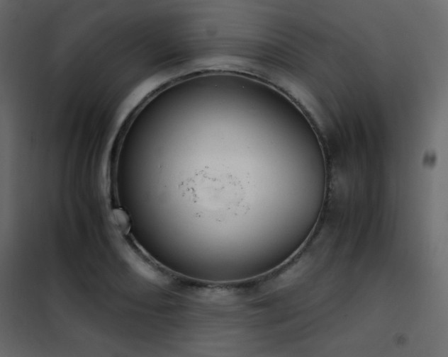 X0000102481082200808081259