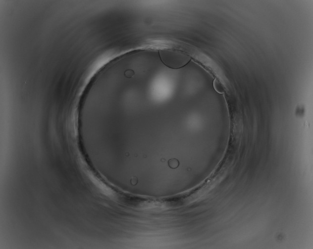 X0000102481083200808081259