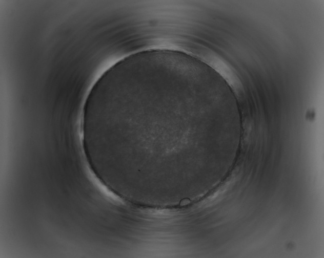 X0000102481084200808081259