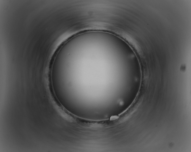 X0000102481085200808081259