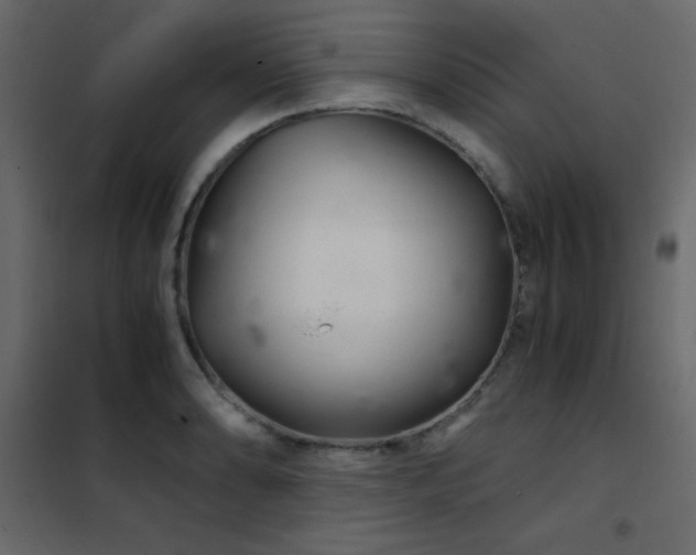X0000102481086200808081259