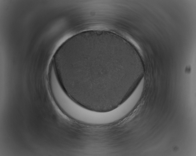 X0000102481087200808081259