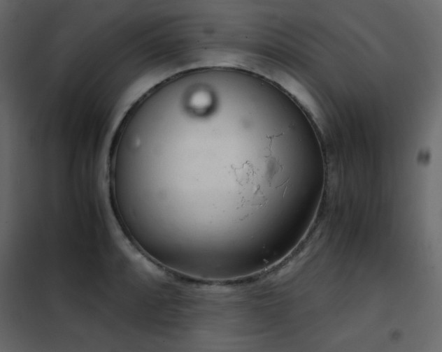 X0000102481088200808081259