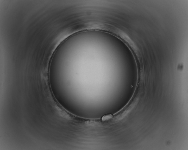 X0000102481089200808081259