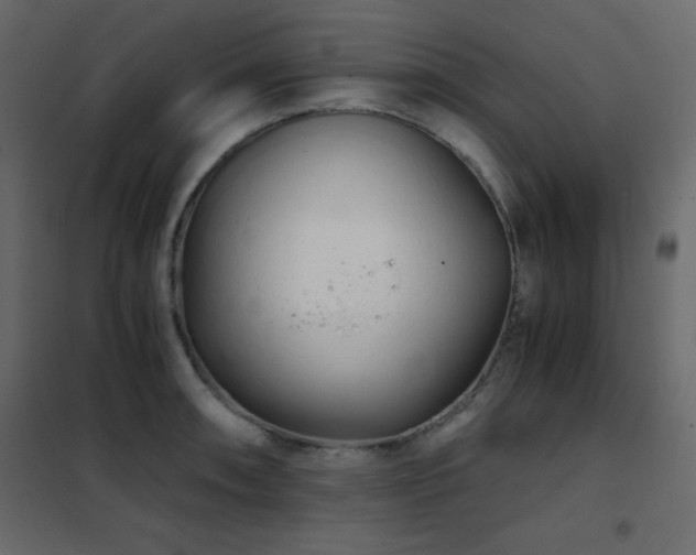 X0000102481090200808081259