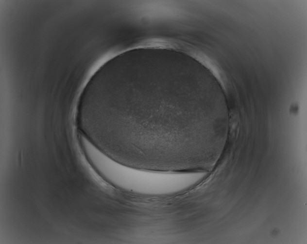 X0000102481091200808081259