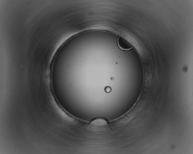 X0000102481092200808081259