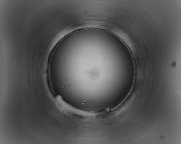 X0000102481093200808081259