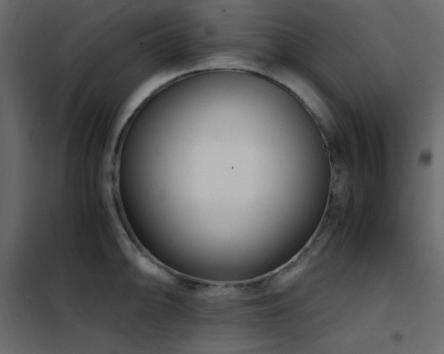 X0000102481094200808081259