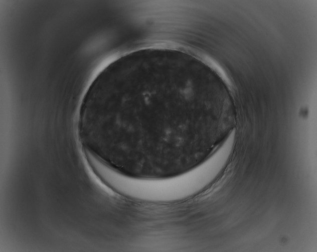 X0000102481095200808081259