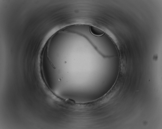X0000102481096200808081259