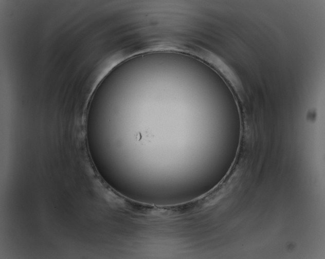 X0000102481097200808081259