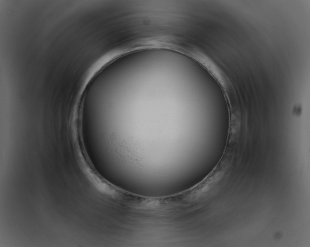 X0000102481098200808081259