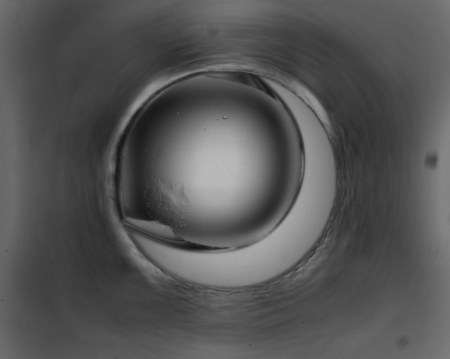 X0000102481099200808081259