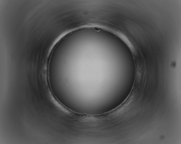 X0000102481100200808081259