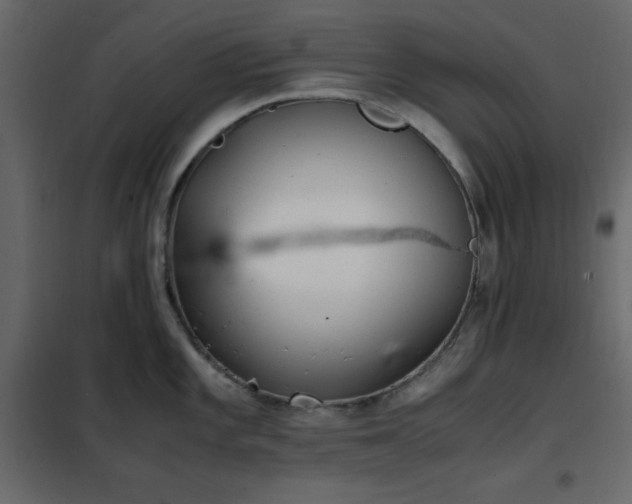 X0000102481101200808081259