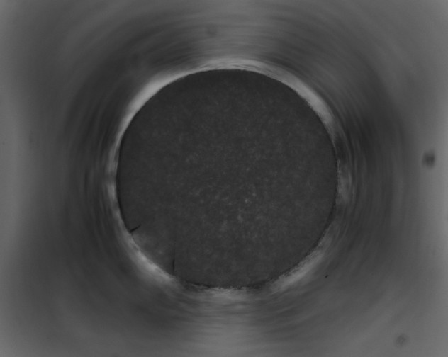 X0000102481102200808081259