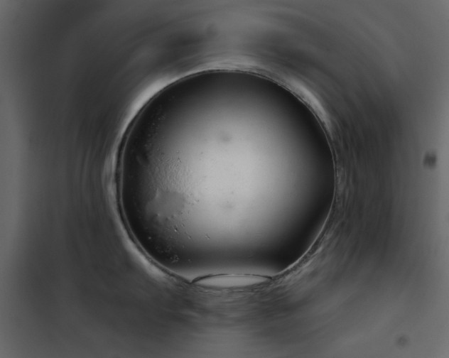 X0000102481103200808081259