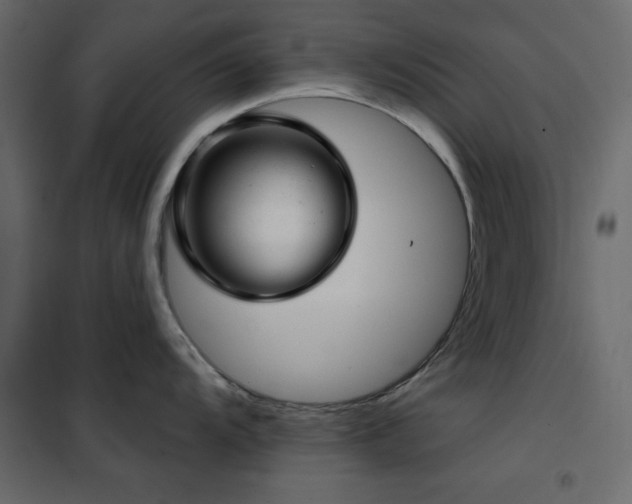 X0000102481104200808081259