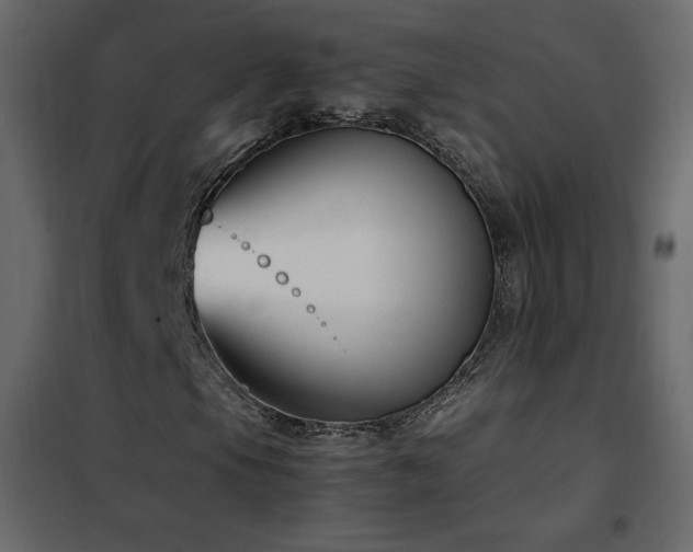 X0000102481105200808081258