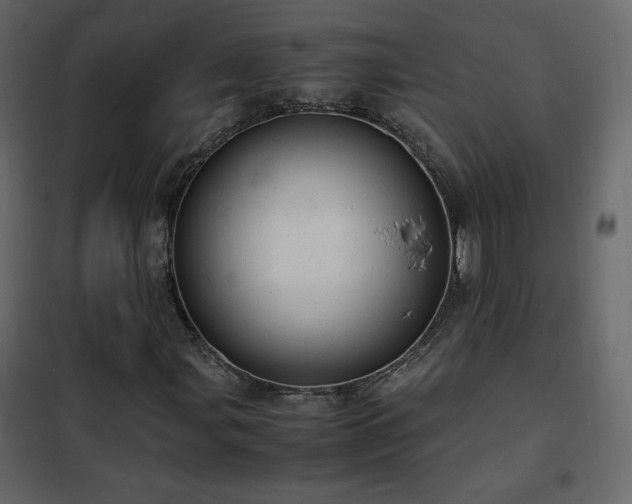 X0000102481107200808081258