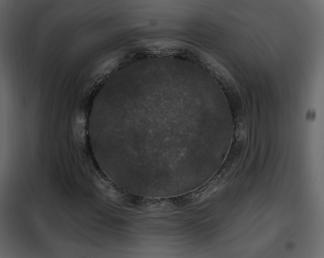 X0000102481108200808081258