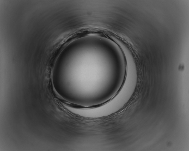 X0000102481110200808081258