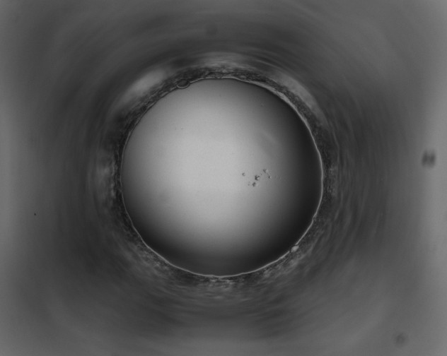 X0000102481111200808081258