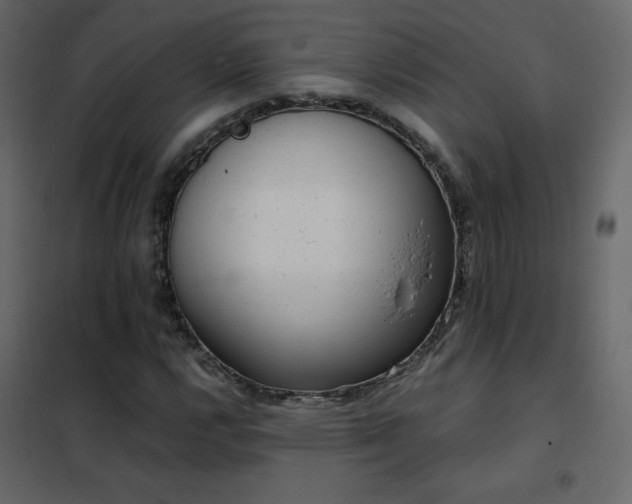 X0000102481112200808081258