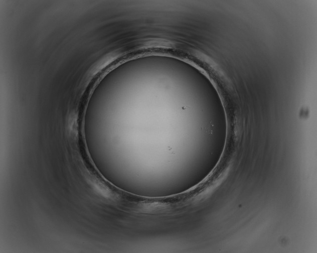 X0000102481113200808081258
